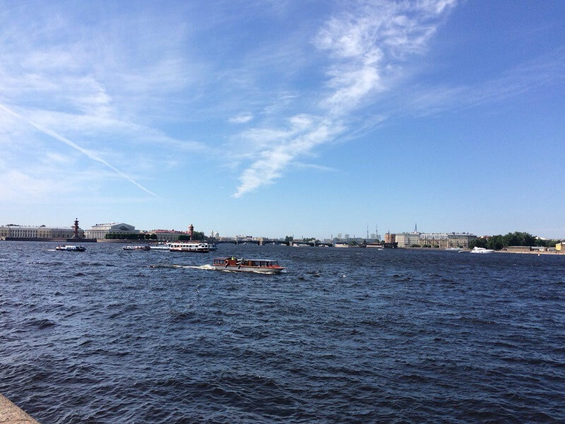 река нева Санкт-Петербург кингуру